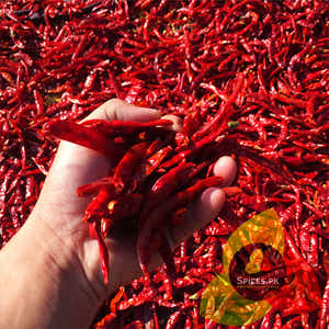 Red Chilli Flakes (دارا لال مرچ)