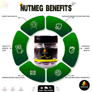 Nutmeg (Jaifal-جائفل)