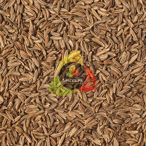 Cumin Seeds (سفید زیرہ)