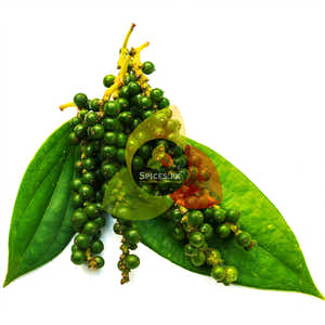 White Pepper Powder (سفید مرچ پاؤڈر)