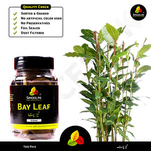 Bay Leaves - Tez Patta (تیز پتہ)