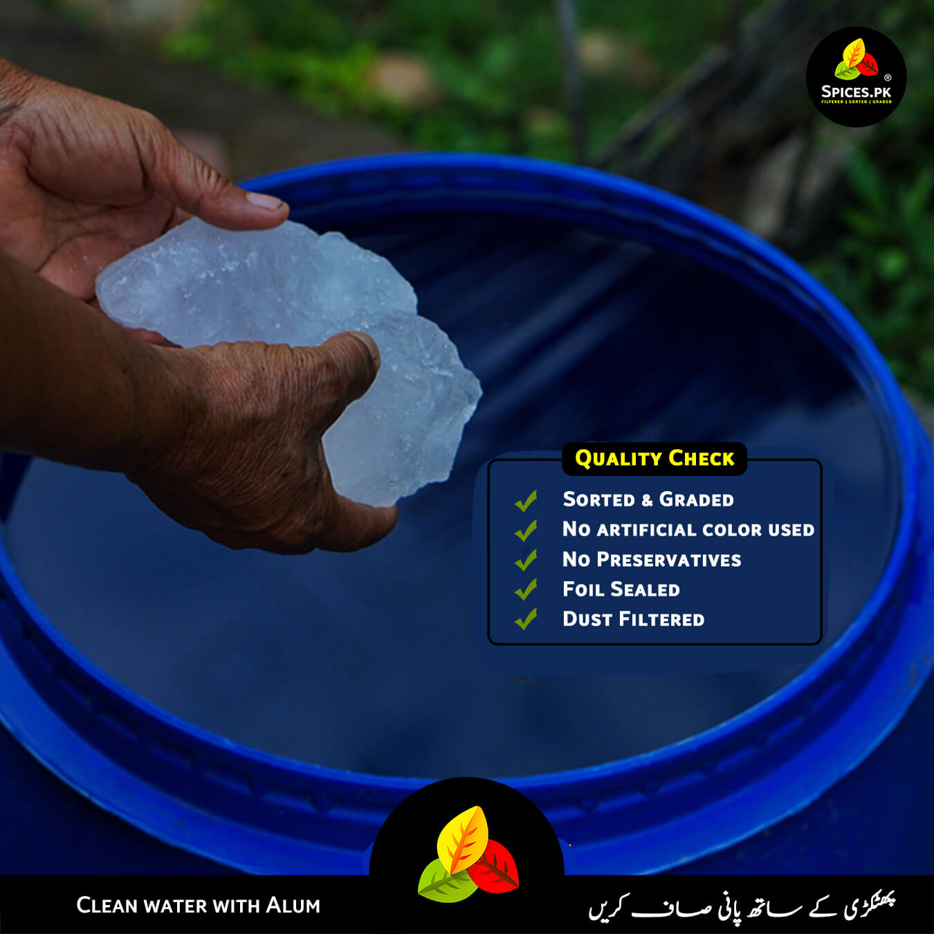 Hands holding pure Alum (Fitkari) over a water barrel. Natural water purification with Spices.pk Alum.