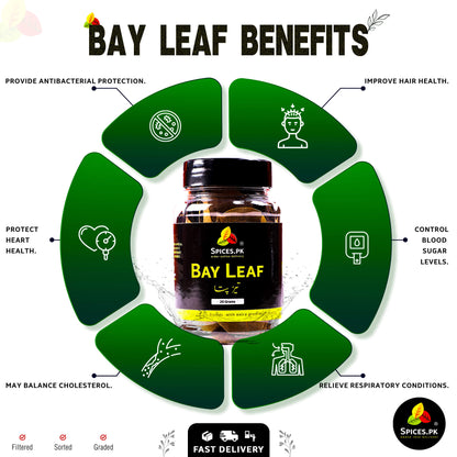 Bay leaf benefits infographic with a jar of bay leaves at the center.Infographic listing Bay Leaf benefits: antibacterial protection, heart health, cholesterol balance, respiratory relief, and blood sugar control.