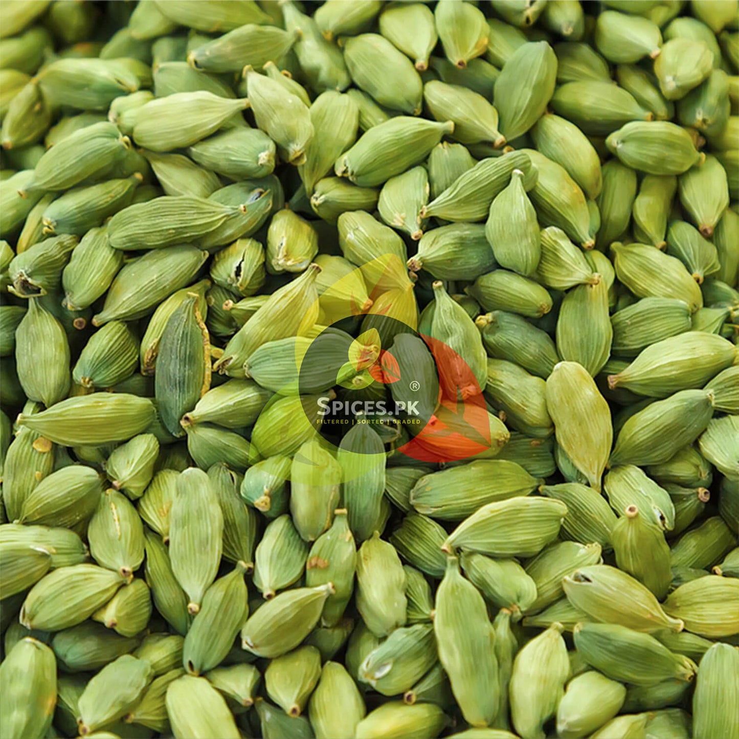 Top-down view of premium bulk Green Cardamom pods, highlighting the vibrant color and fresh texture.