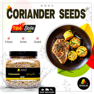 Coriander seeds -Sukha Dhania (دھنیا)