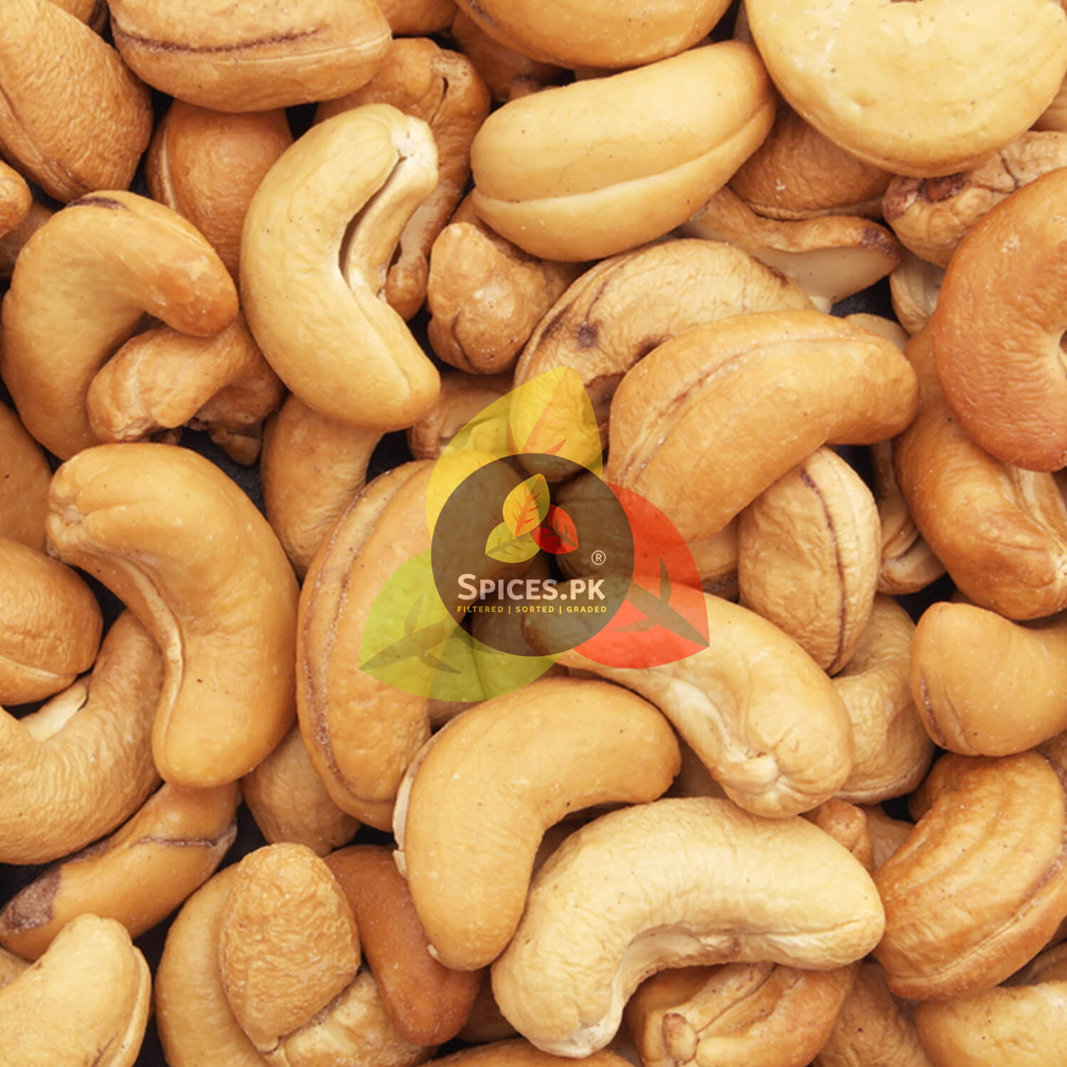 Close-up background texture of clean, perfectly sorted and graded roasted cashew nuts with the Spices.pk brand watermark.Cashew nuts with Spices.PK logo overlay