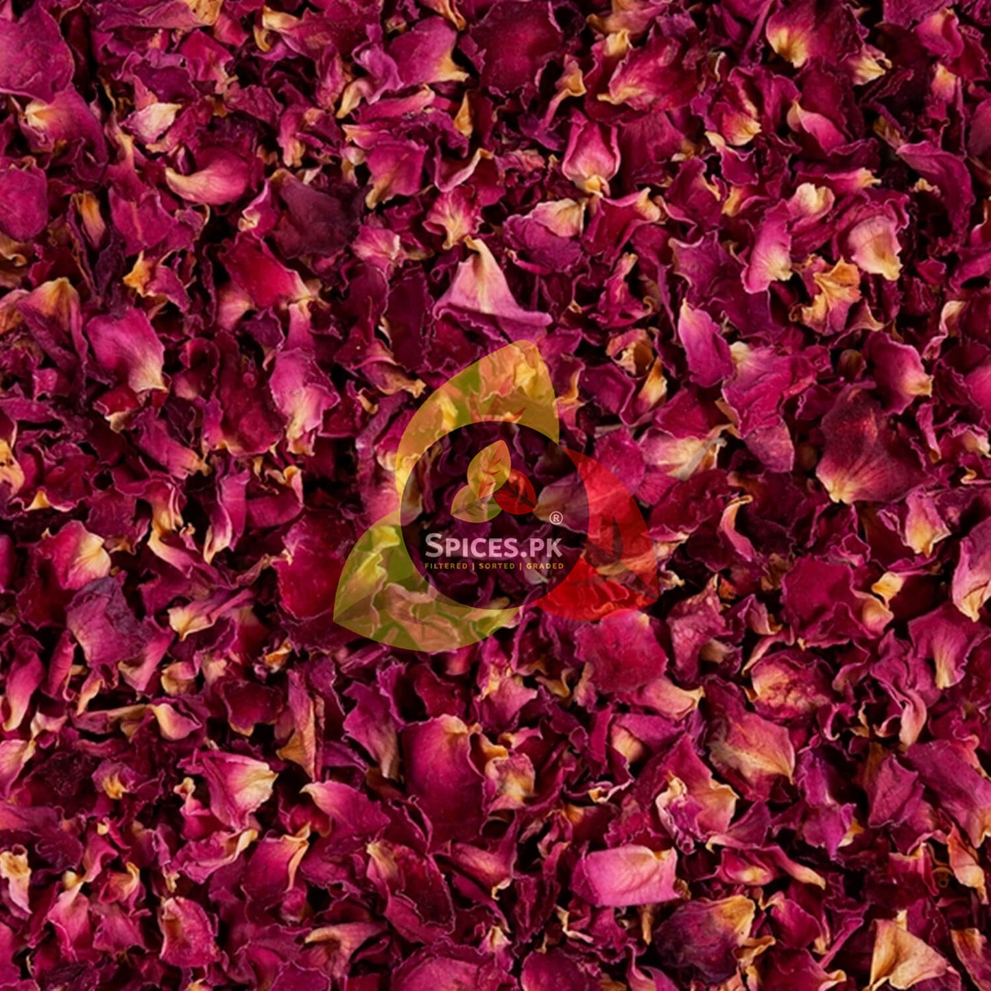 Deep pink sun-dried rose petals used to make natural gulab powder for skincare and glowing face masks in Pakistan.