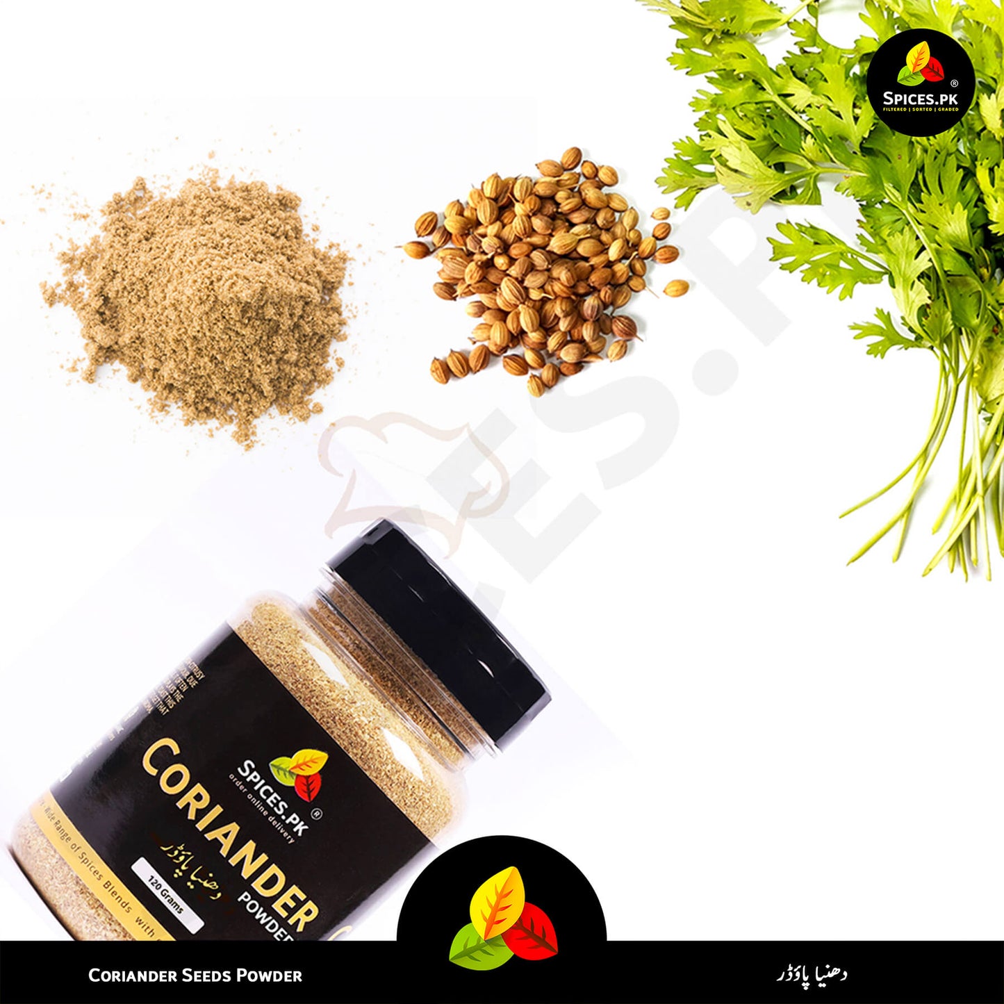 Spices including coriander seeds, powder, and fresh coriander leaves with 'Spices.Pk' branding.Macro shot of fine-ground Coriander Powder on a wooden spoon; high-aroma Dhaniya Powder from Spices.pk for traditional and modern recipes.
