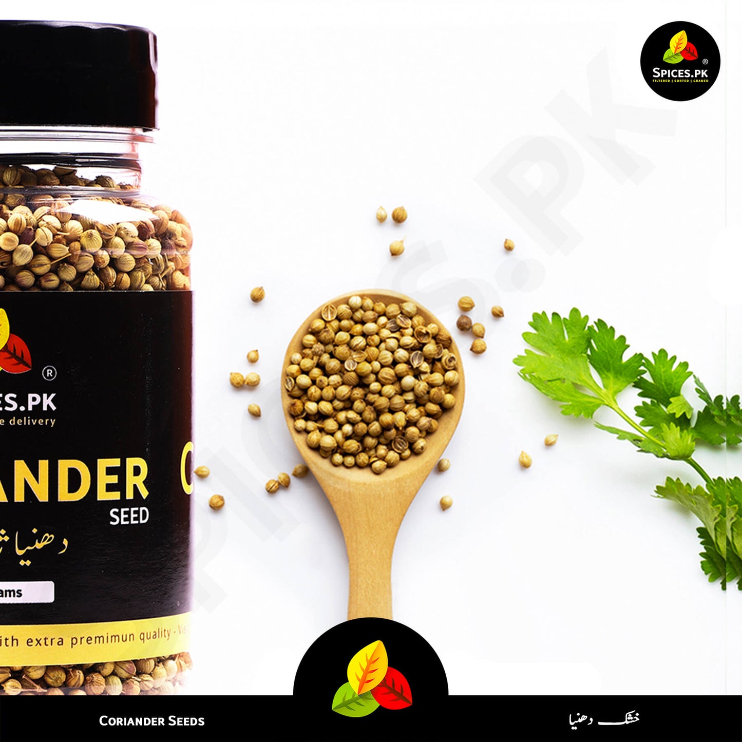 Jar of coriander seeds with a wooden spoon full of seeds, cilantro leaves, and 'Spices.pk' branding.Close-up of Spices.pk Coriander Seeds (Dhaniya Sabut) on a wooden spoon with fresh cilantro leaves, showcasing premium aroma and purity.