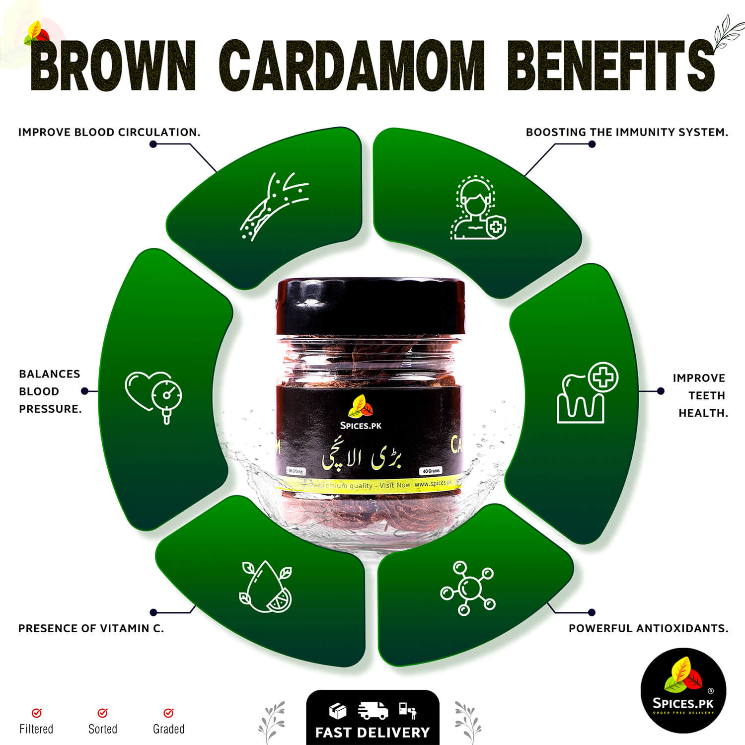 Infographic showing health benefits of Brown Cardamom (Bari Elaichi): immunity boost, blood pressure balance, and powerful antioxidants.