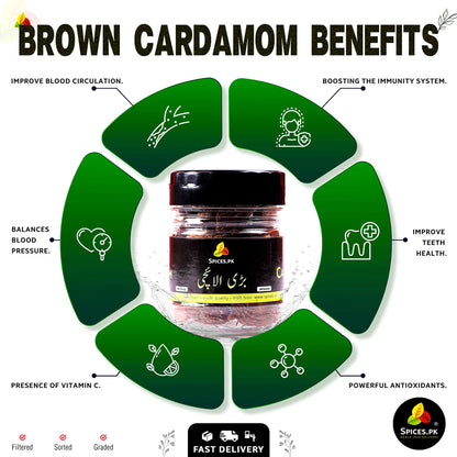 Infographic showing health benefits of Brown Cardamom (Bari Elaichi): immunity boost, blood pressure balance, and powerful antioxidants.