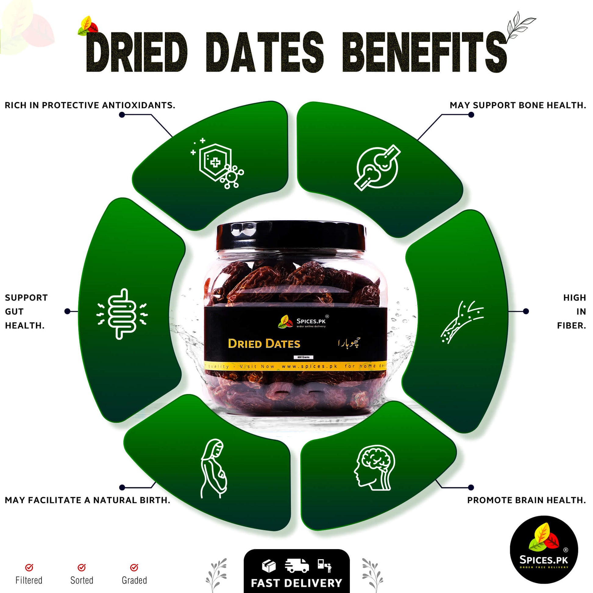 Infographic displaying the health benefits of dried dates including gut health, high fiber, bone health, and brain health.Infographic on dried dates benefits with a jar of dates in the center, labeled 'Spices.Pk'.