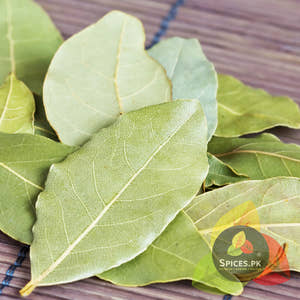 Bay Leaves - Tez Patta (تیز پتہ)
