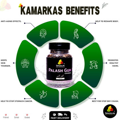 Infographic showing Kamarkas benefits including postpartum body reshaping, back pain relief, anti-aging skin effects, and dry cough remedy.Spices.PK Palash Guh product with benefits listed on a green circular design
