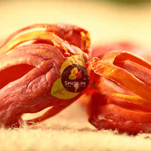 Mace (Javitri-جاوتری)