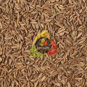 Cumin Seeds (سفید زیرہ)