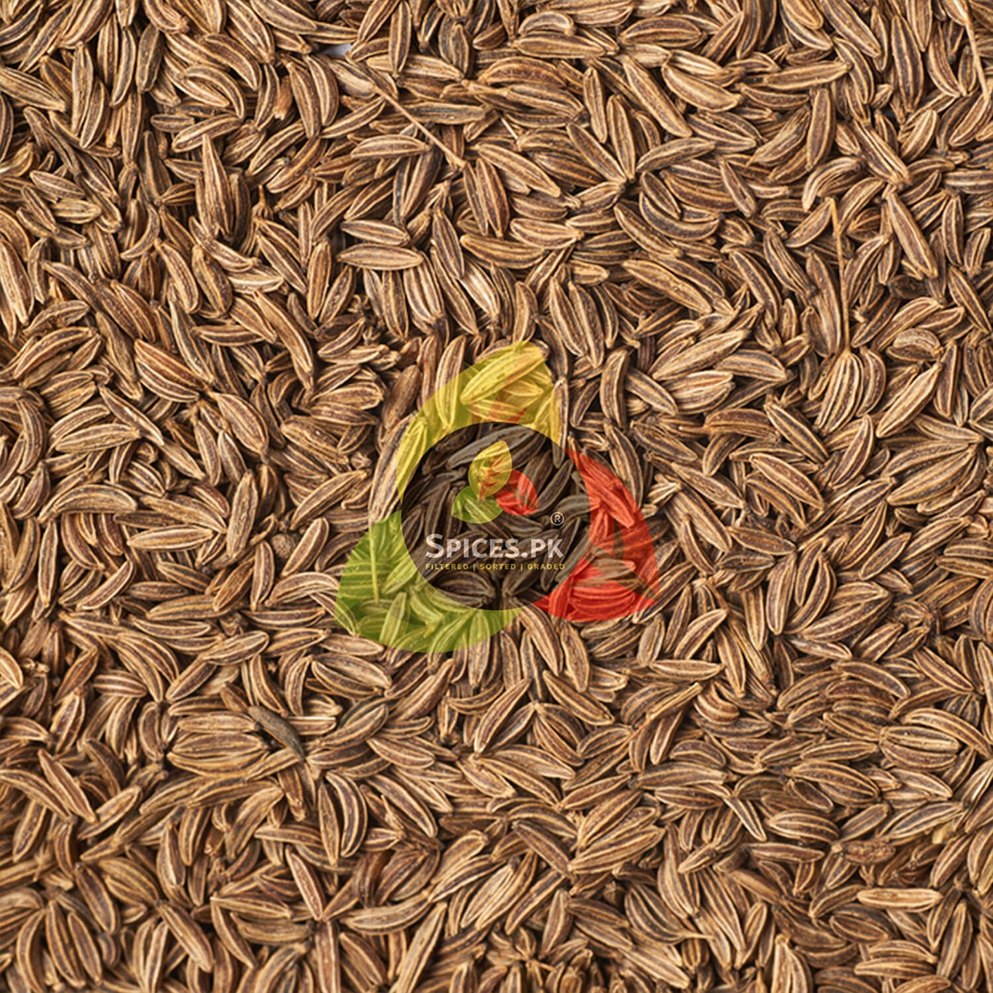 Premium Sufaid Zeera (White Cumin Seeds) heap showing high-quality, filtered, and graded whole spice seeds.