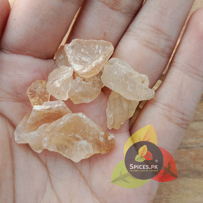 Close-up of authentic, natural Tragacanth Gum crystal pieces held in a hand to show size and quality.