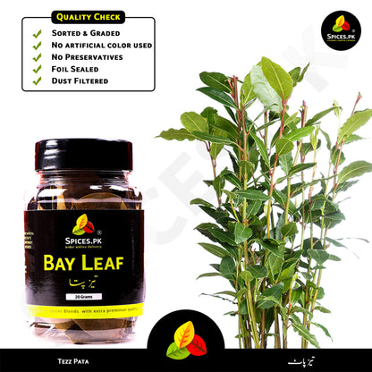 Bay leaf jar with fresh bay leaves on a white background, featuring Spices.Pk branding.Spices.pk Bay Leaf (Tezz Pata) 20g jar with quality check: sorted, graded, dust-filtered, and foil-sealed for maximum freshness.