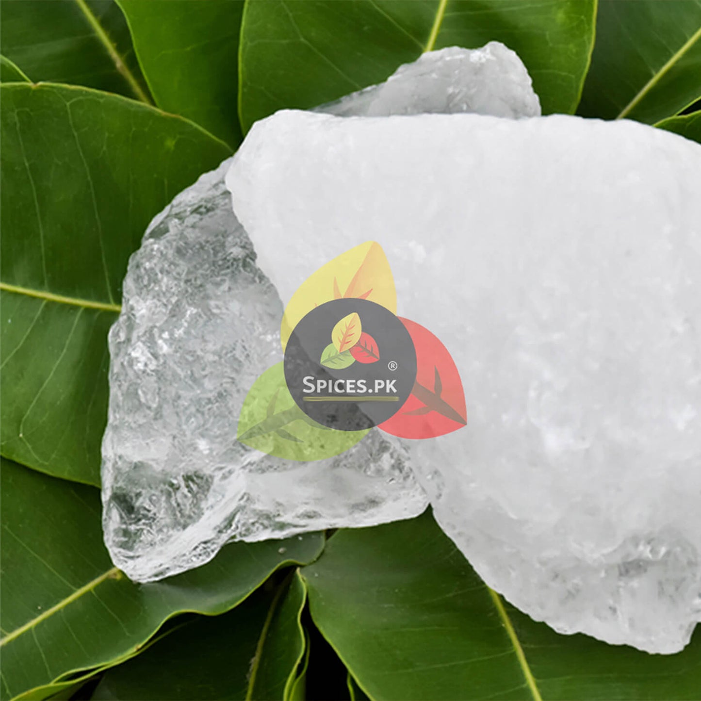 Raw, pure Alum (Phitkari) crystals on green leaves. Premium organic Fitkari by Spices.pk in Pakistan.
