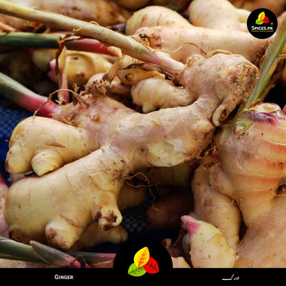 Fresh, high-quality raw ginger (adrak) roots used to ethically source and make Spices.pk premium ground ginger powder.