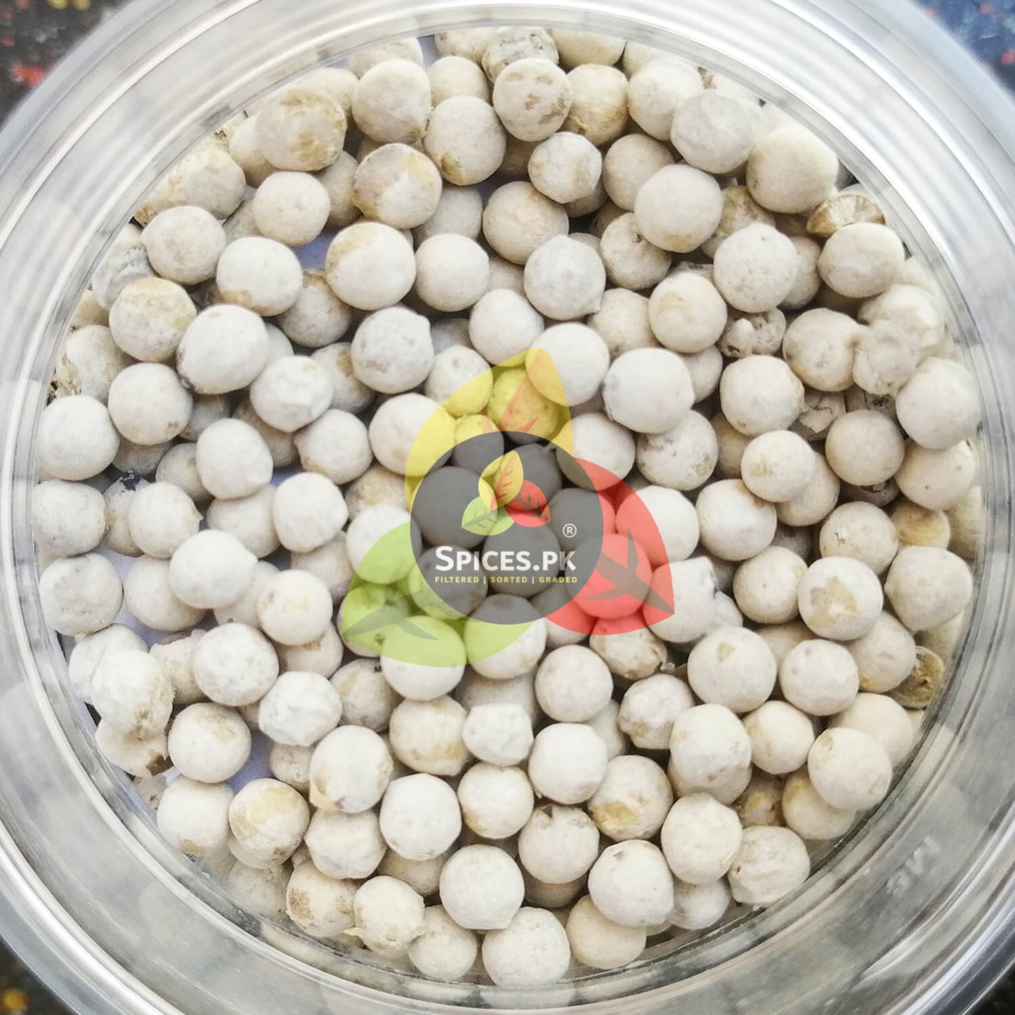 Top-down view inside a clear open jar filled with premium sorted safaid mirch whole seeds from Spices.pk.