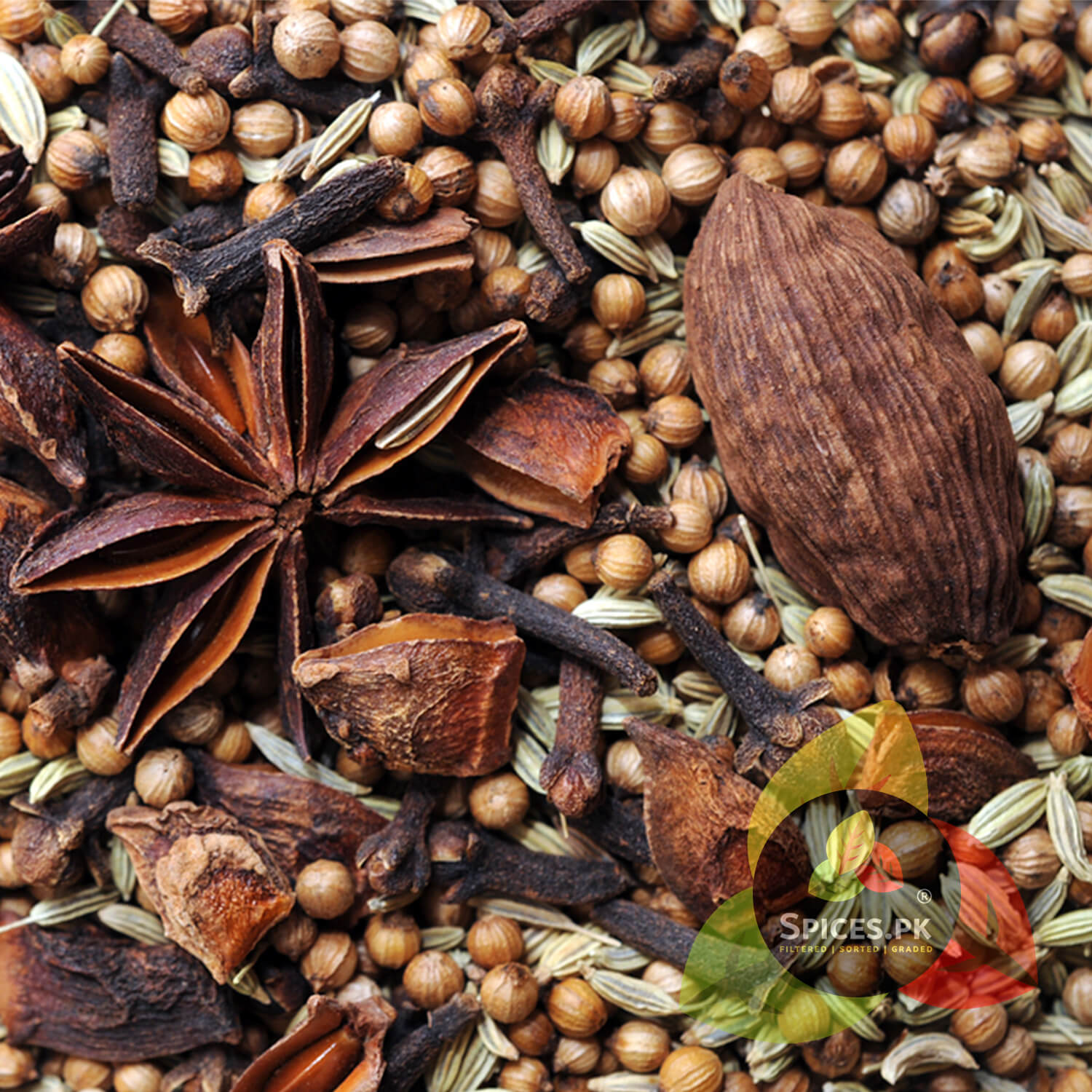 Macro close-up of whole cloves, cinnamon sticks, and dried bay leaves (Tej Patta) from the Spices.pk Garam Masala blend. High-ranking keywords for raw, natural whole spice quality.