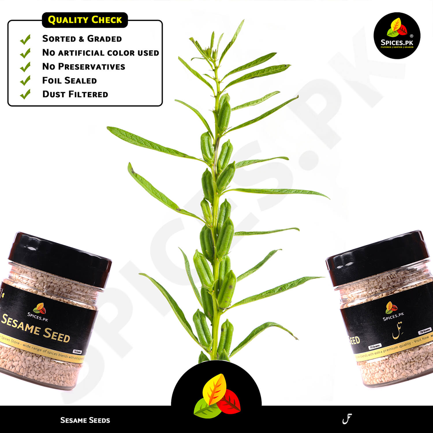 See the natural source of your favorite spice! A fresh green sesame plant with multiple pods containing the developing seeds is centered between two 70g jars of premium Spices.pk Sesame Seed. Demonstrates the origins of our high-quality product. Also features our quality check checklist.