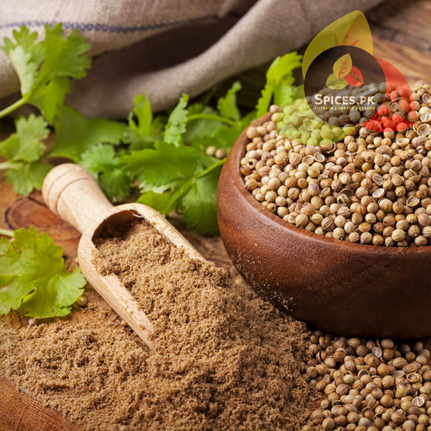 Ground Coriander Powder on a wooden scoop with whole coriander seeds and fresh green cilantro leaves—natural, organic spices online in Pakistan.
