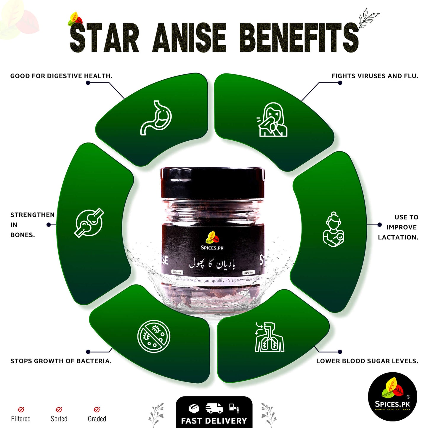 Infographic of Star Anise benefits: improves digestion, fights viruses, strengthens bones, and lowers blood sugar by Spices.pk.