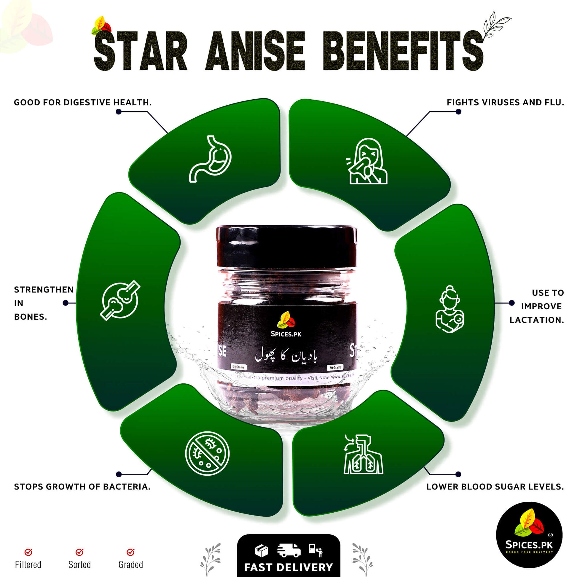 Infographic of Star Anise benefits: improves digestion, fights viruses, strengthens bones, and lowers blood sugar by Spices.pk.