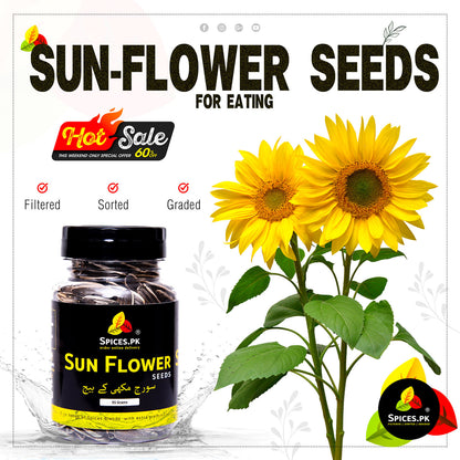 Spices.pk promotional hot sale banner for premium sorted and filtered edible sunflower seeds jar with 60 percent off.