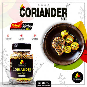 Coriander seeds - Dhania (دھنیا)