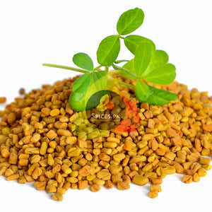 Fenugreek seeds - Methi Dana (میتھی دانہ)