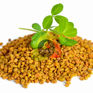 Fenugreek seeds - Methi Dana (میتھی دانہ)