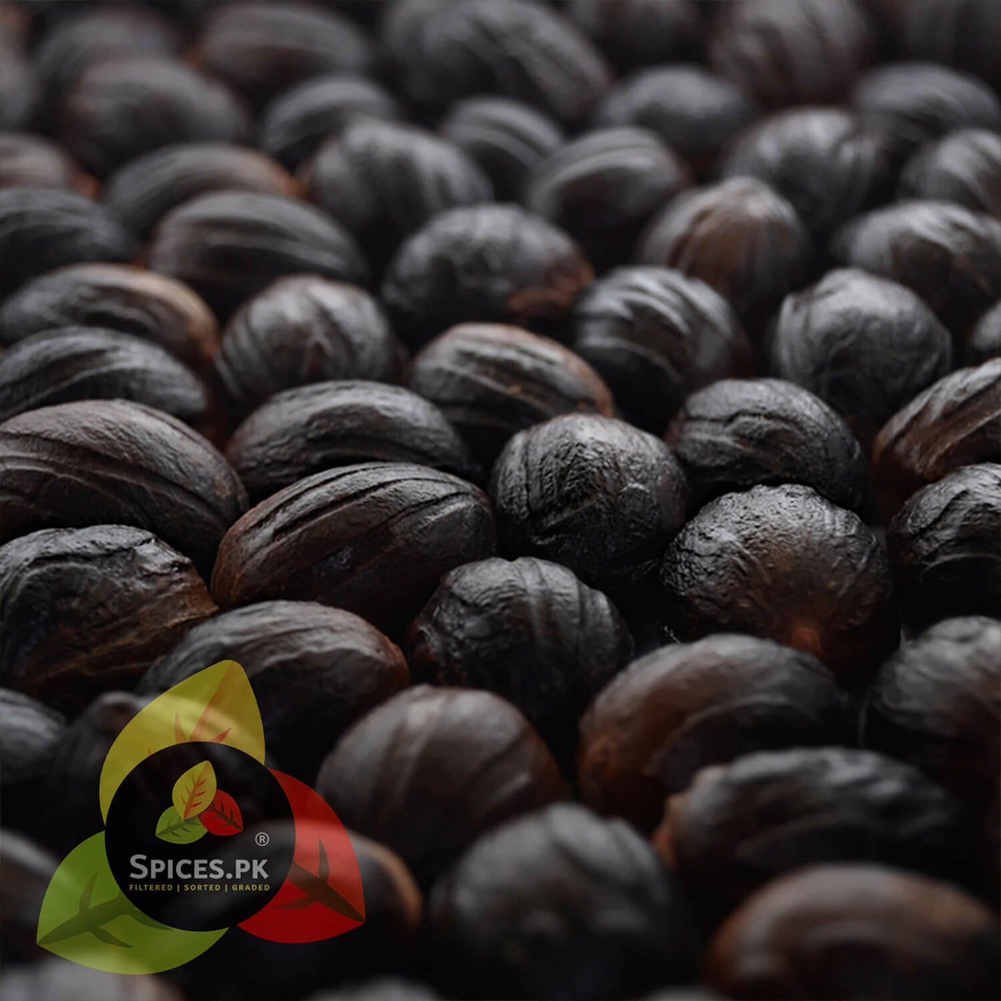 Close-up of whole dark Nutmeg seeds (Jaiphal) – Freshly harvested Myristica fragrans seeds for authentic spice flavor.