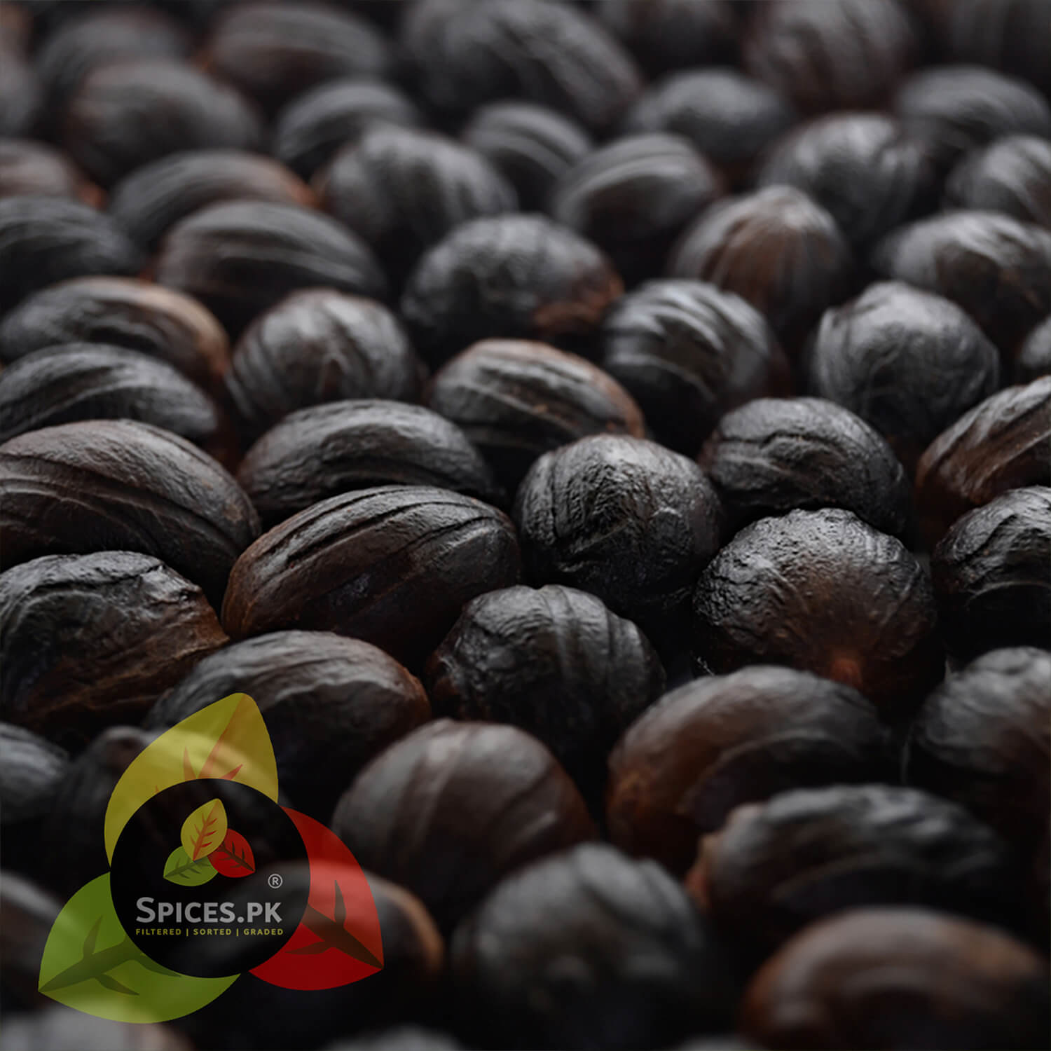 Close-up of whole dark Nutmeg seeds (Jaiphal) – Freshly harvested Myristica fragrans seeds for authentic spice flavor.